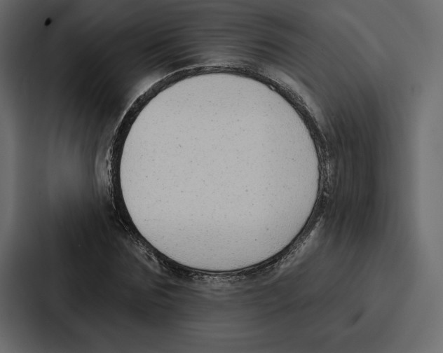 X0000086800875200705111833