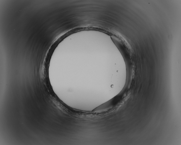 X0000086800876200705111833