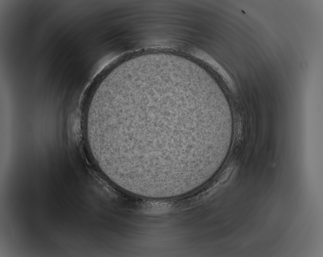 X0000086800878200705111833