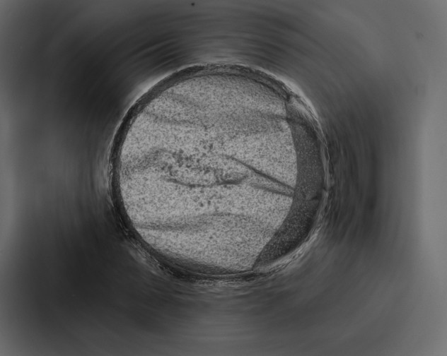 X0000086800879200705111833