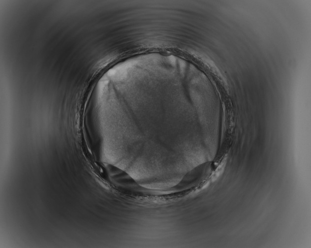 X0000086800881200705111833