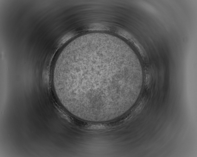 X0000086800882200705111833