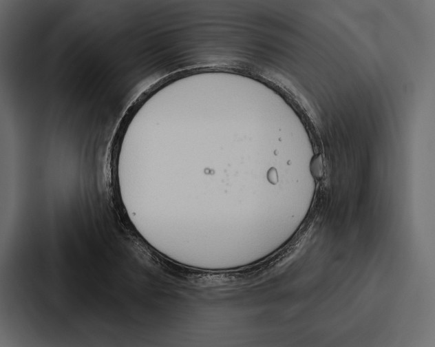 X0000086800883200705111833