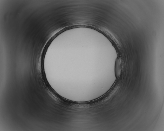X0000086800884200705111833
