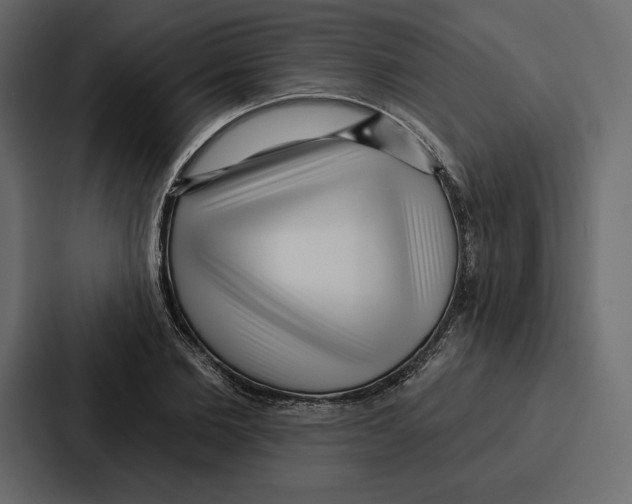 X0000086800885200705111833