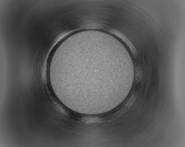 X0000086800886200705111833