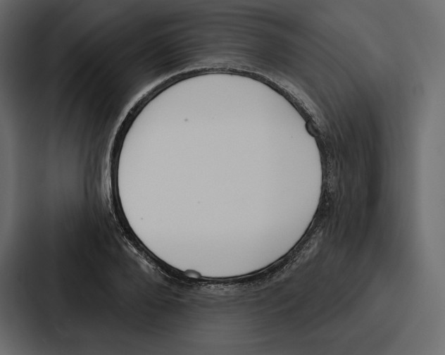 X0000086800888200705111833