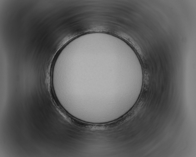 X0000086800890200705111833