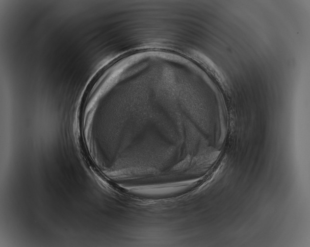 X0000086800892200705111833