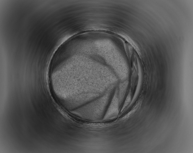 X0000086800893200705111833