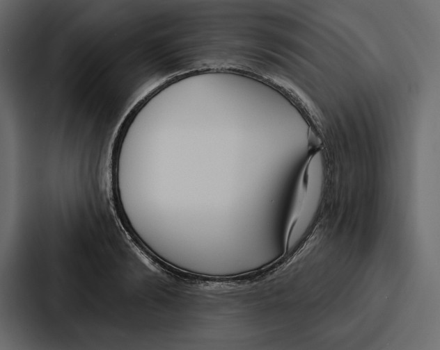 X0000086800894200705111833