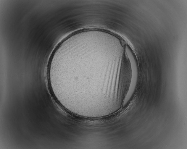 X0000086800895200705111833