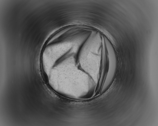 X0000086800896200705111833