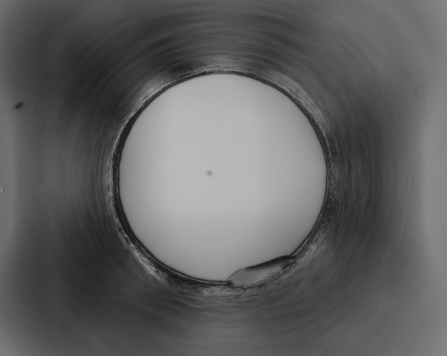 X0000086800898200705111833