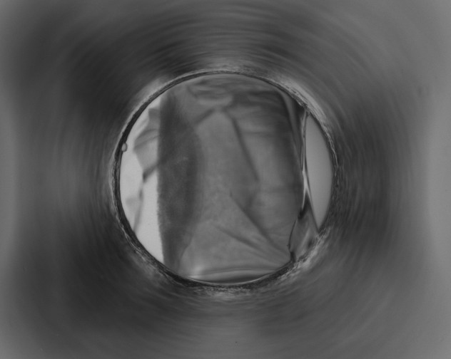 X0000086800899200705111833