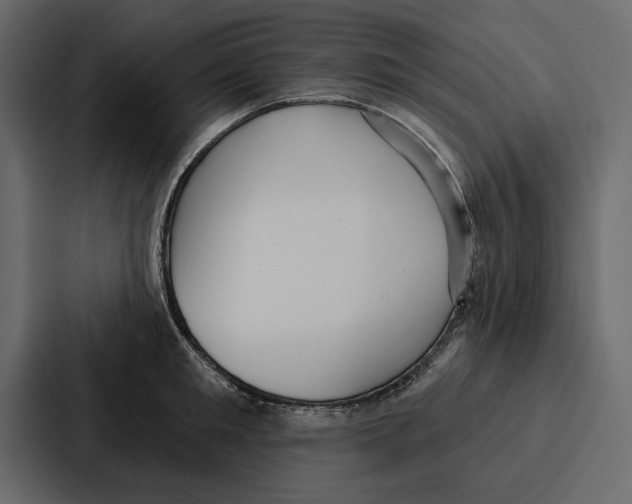 X0000086800901200705111833