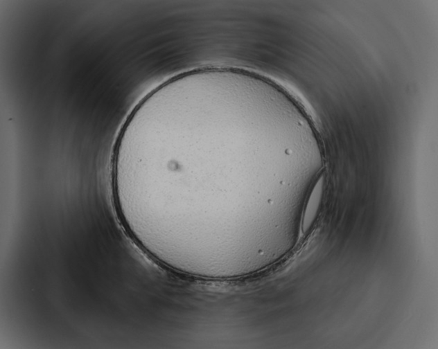 X0000086800903200705111833