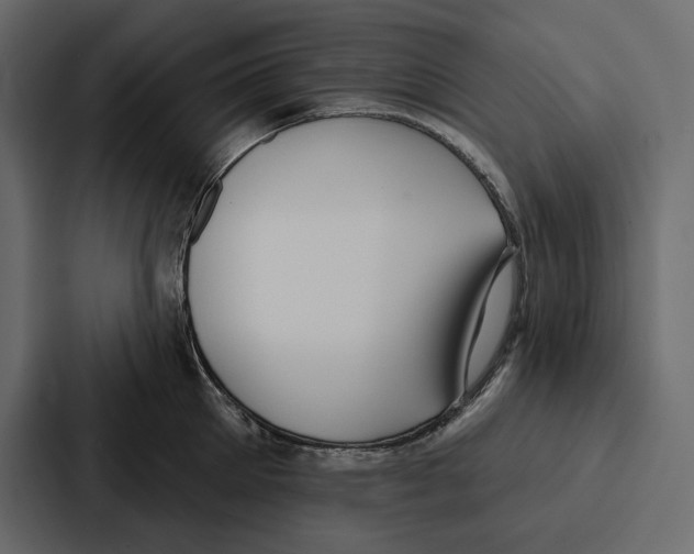 X0000086800905200705111833