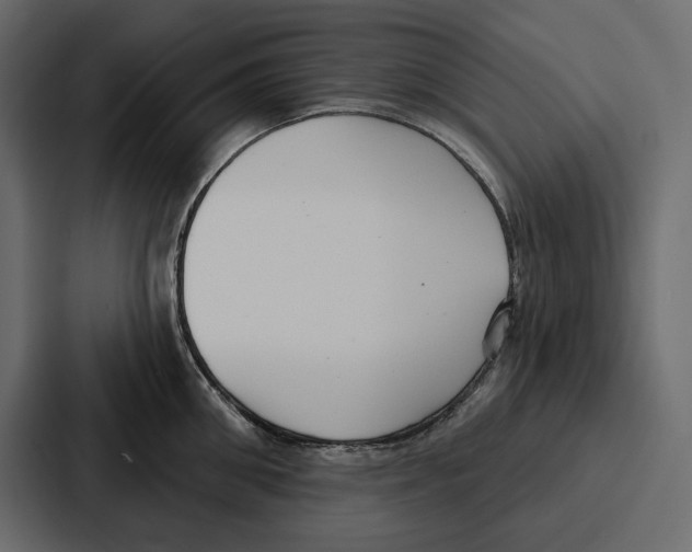 X0000086800906200705111833