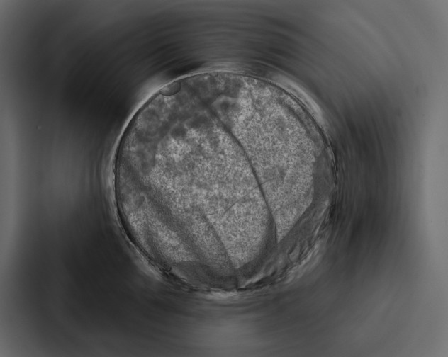 X0000086800907200705111833
