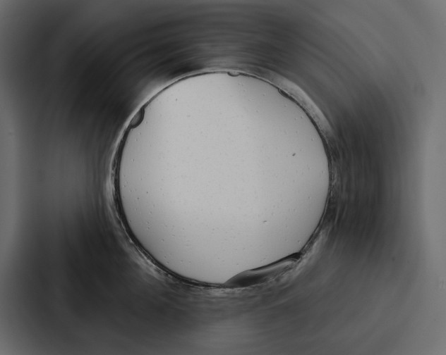 X0000086800908200705111833