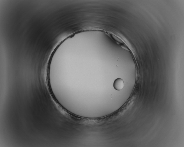 X0000086800909200705111833