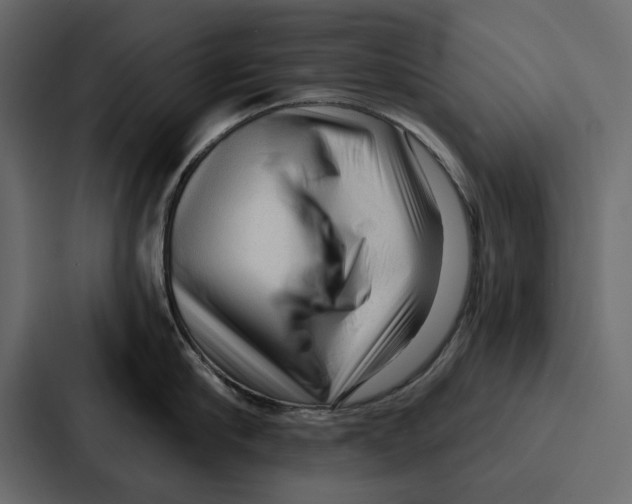X0000086800910200705111833