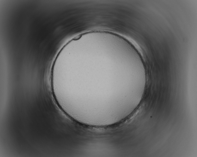 X0000086800911200705111833