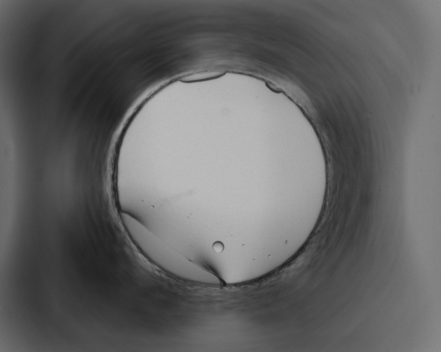 X0000086800912200705111832