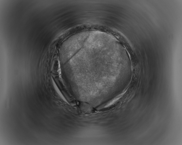 X0000086800919200705111832