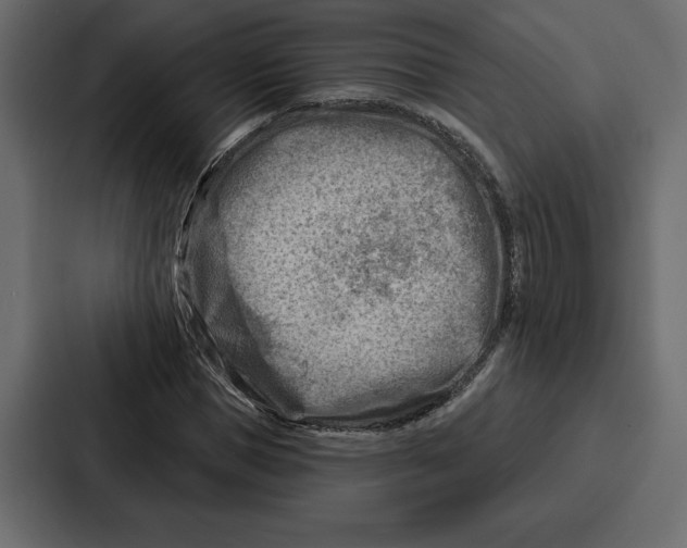 X0000086800921200705111832