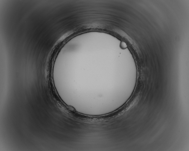 X0000086800922200705111832