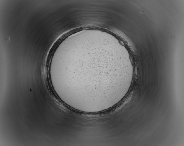 X0000086800924200705111832