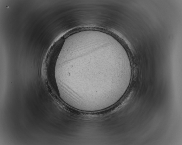 X0000086800925200705111832