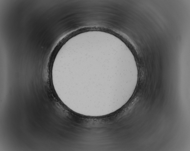 X0000086800927200705111832