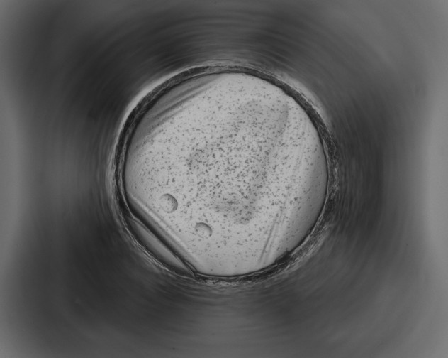 X0000086800928200705111832