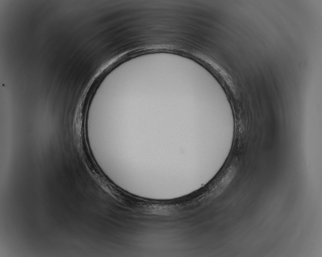 X0000086800933200705111832