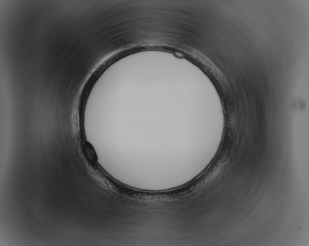 X0000086800934200705111832