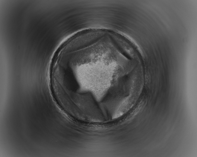 X0000086800935200705111832