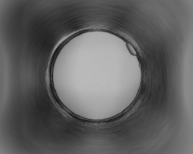 X0000086800936200705111832