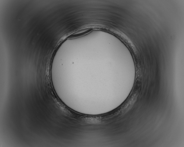 X0000086800937200705111832