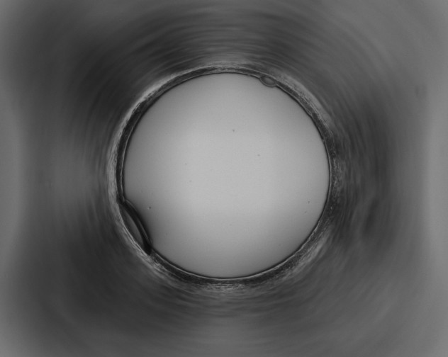 X0000086800939200705111832