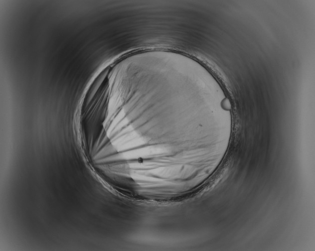 X0000086800941200705111832
