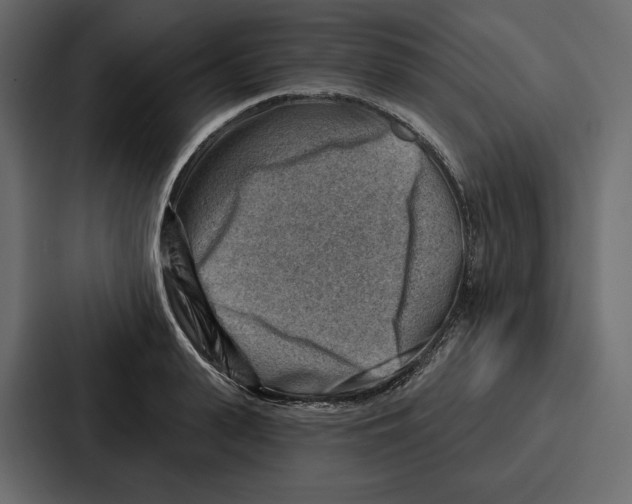 X0000086800943200705111832