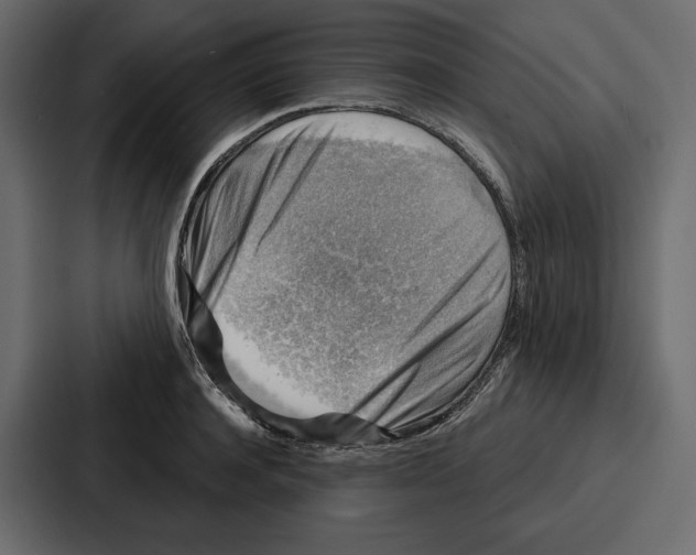 X0000086800944200705111832