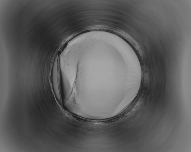 X0000086800945200705111832