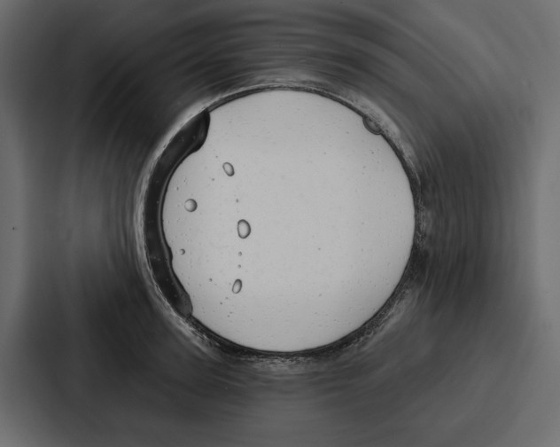 X0000086800947200705111832