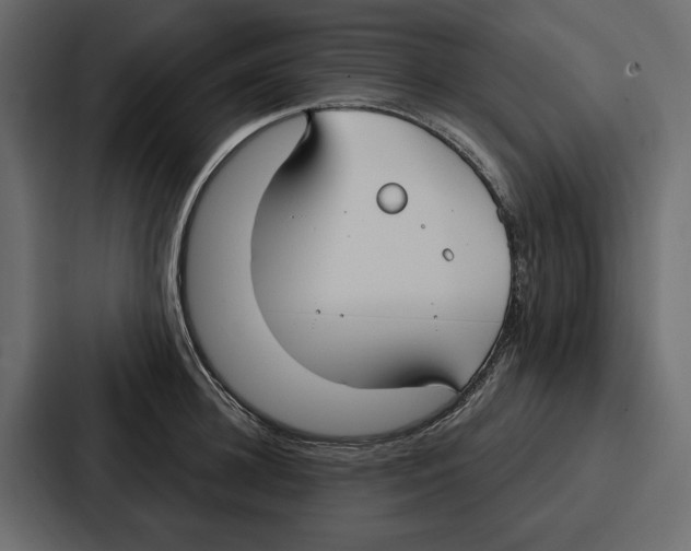 X0000086800948200705111832