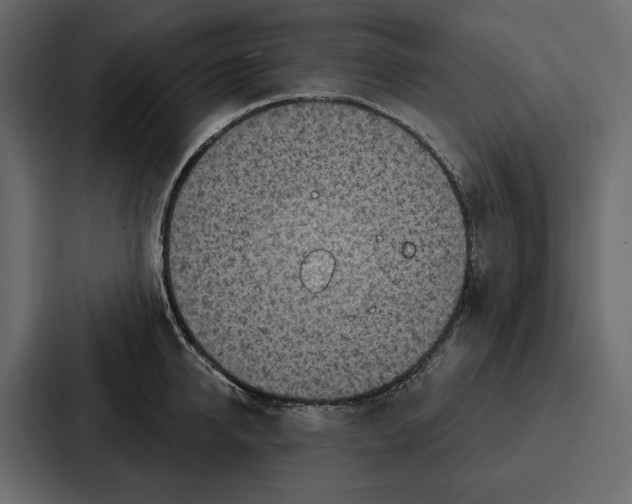 X0000086800950200705111832