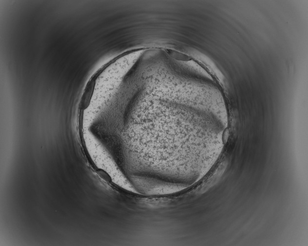 X0000086800952200705111832
